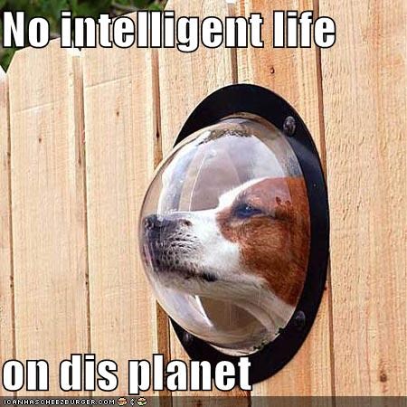 No intelligent life  on dis planet