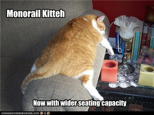 Monorail Kitteh