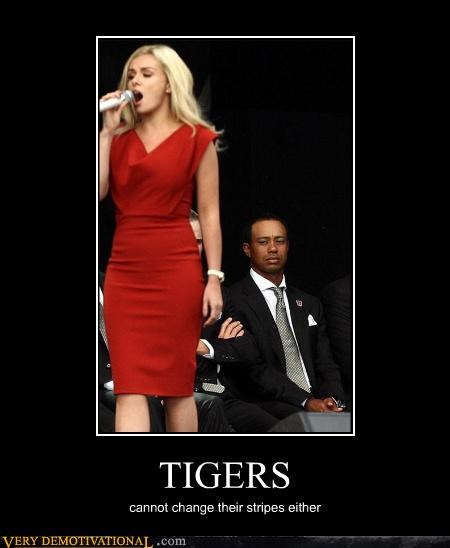 TIGERS