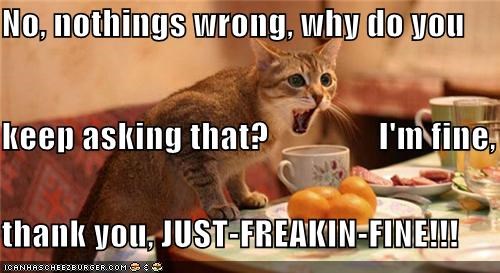 No, nothings wrong,