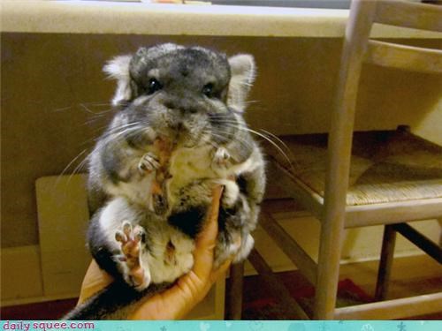 Reader Squee: I Love My Toes