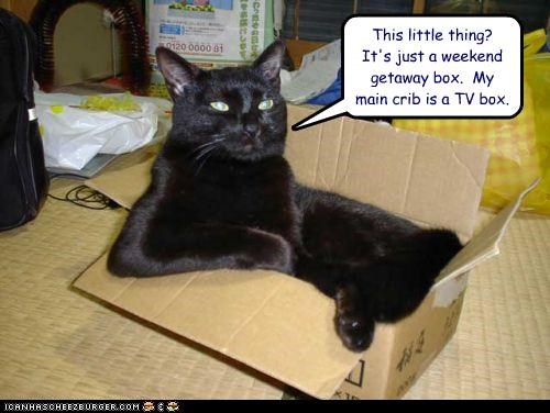 This little thing?  It's just a weekend getaway box.  My main crib is a TV box.