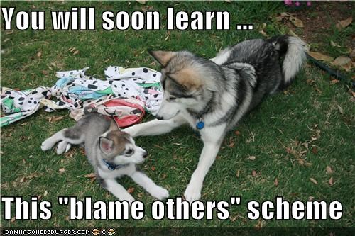 You will soon learn ...  This "blame others" scheme