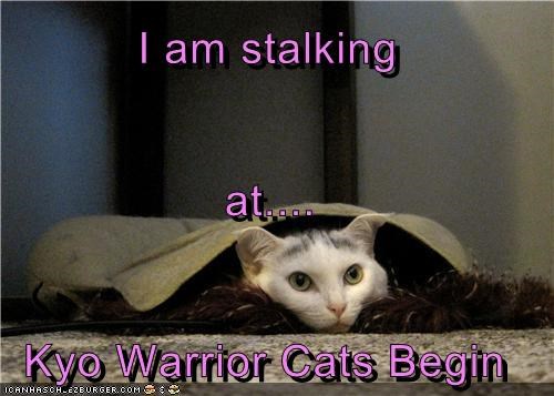 I am stalking at.... Kyo Warrior Cats Begin