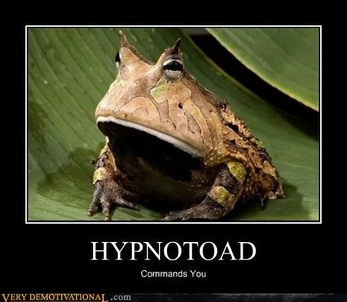 HYPNOTOAD