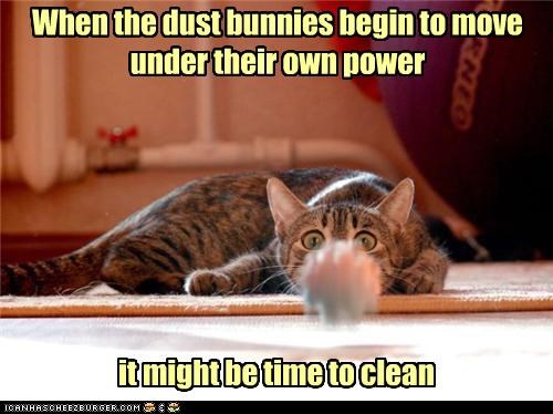 When the dust bunnies begin to move under their own power