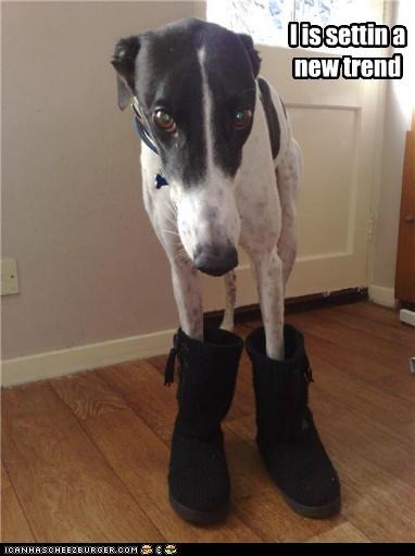 I is settin a new trend