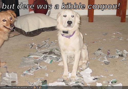 but dere was a kibble coupon!