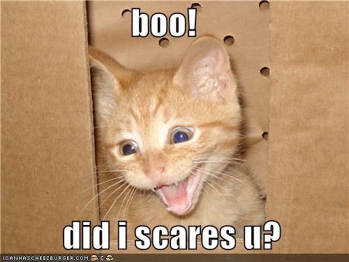 boo!           did i scares u?