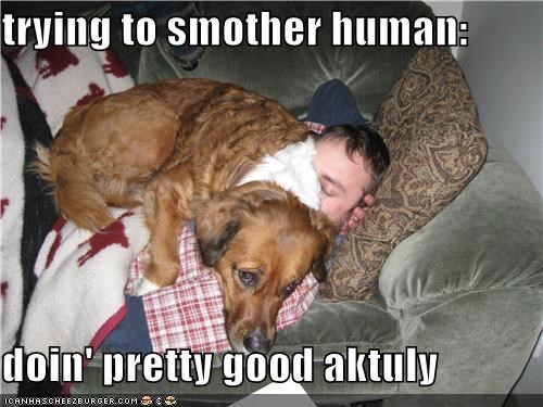 trying to smother human:  doin' pretty good aktuly