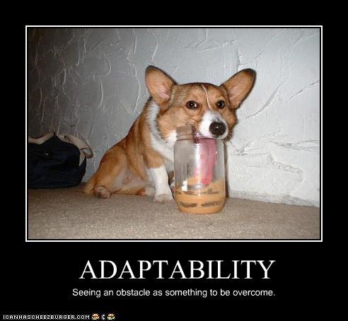 ADAPTABILITY