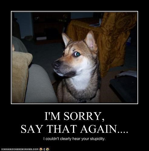 I'M SORRY, SAY THAT AGAIN....