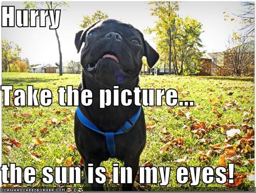 Hurry Take the picture... the sun is in my eyes!