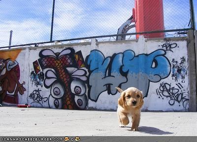 Cyoot Puppeh Ob Teh Day: I dint draw dis... no...