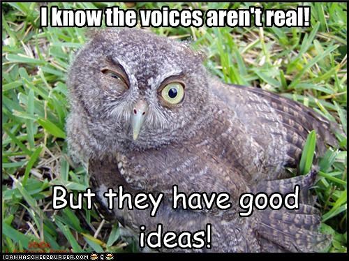 I know the voices aren't real!