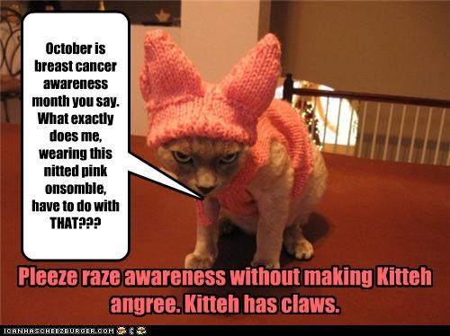 October is breast cancer awareness month you say. What exactly does me, wearing this nitted pink onsomble, have to do with THAT???