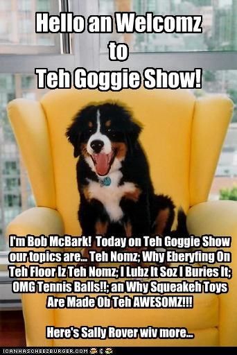 Hello an Welcomz  to  Teh Goggie Show!