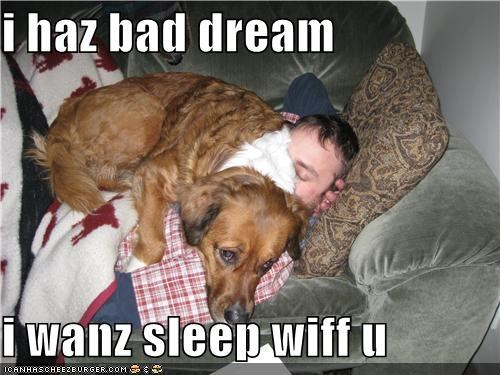 i haz bad dream  i wanz sleep wiff u