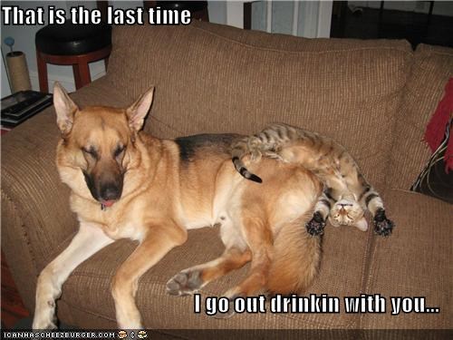 That is the last time   I go out drinkin with you...
