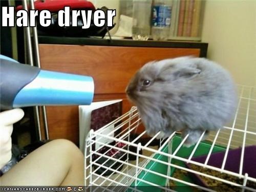 Hare dryer