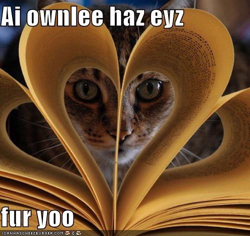 Ai ownlee haz eyz  fur yoo