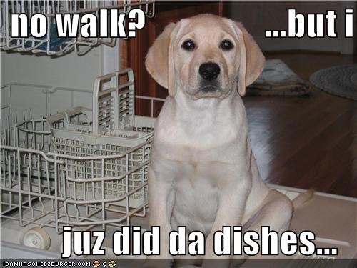 no walk?                 ...but i  juz did da dishes...