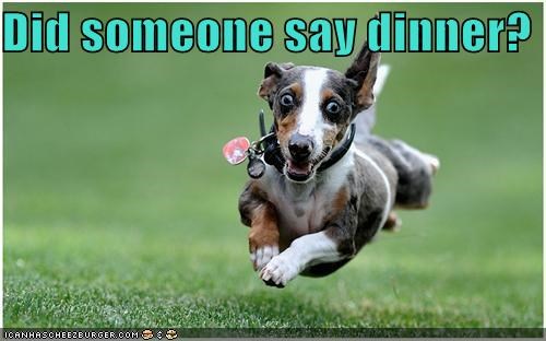 Did someone say dinner?