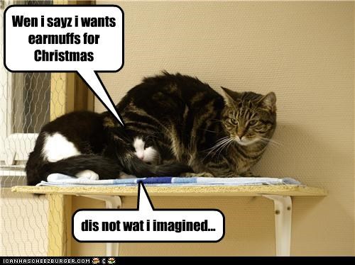 Wen i sayz i wants earmuffs for Christmas