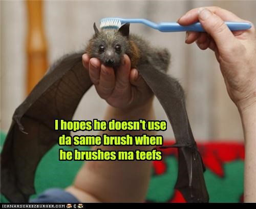 I hopes he doesn't use da same brush when he brushes ma teefs