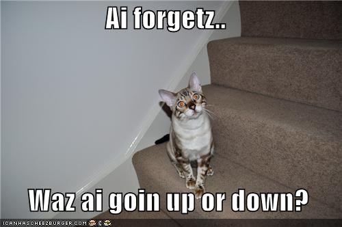 Ai forgetz..    Waz ai goin up or down?