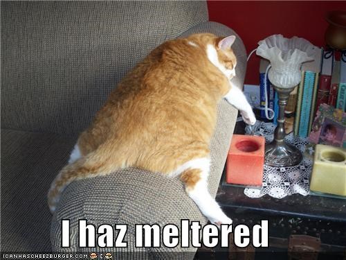 I haz meltered