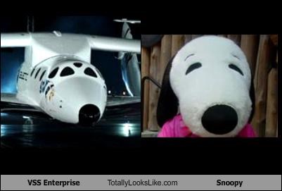 VSS Enterprise Totally Looks Like Snoopy