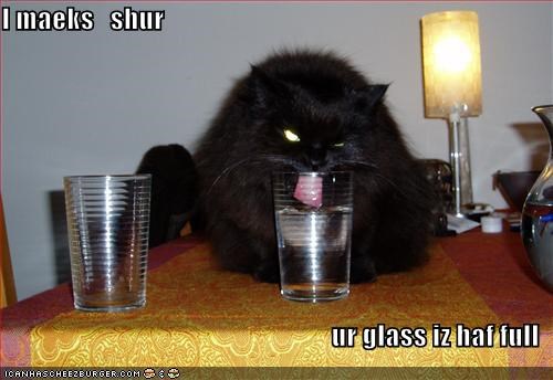 I maeks   shur  ur glass iz haf full