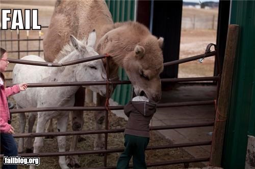 Petting Zoo FAIL