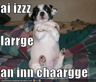 ai izzz larrge an inn chaargge