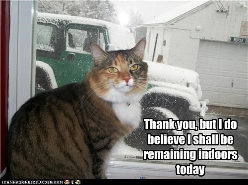 Thank you, but I do believe I shall be remaining indoors today