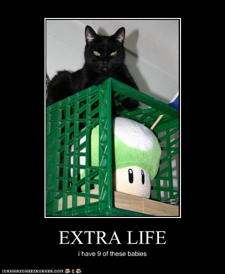 EXTRA LIFE