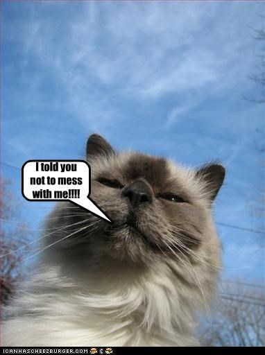 I told you not to mess with me!!!!