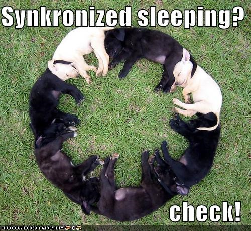 Synkronized sleeping?   check!