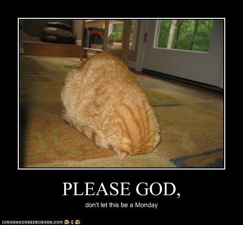 PLEASE GOD,