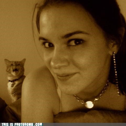 THIS CAT DOES NOT LIKE SEPIA!