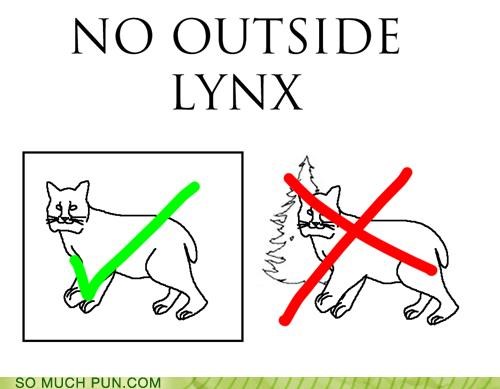 NO OUTSIDE LYNX