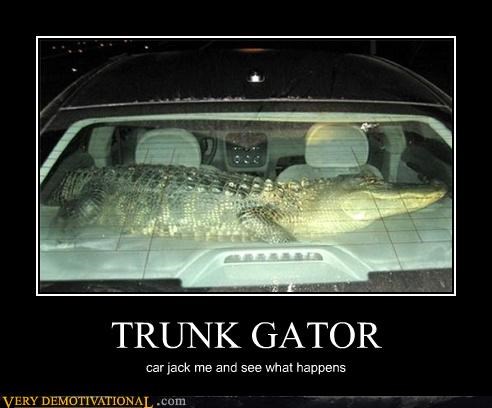 TRUNK GATOR