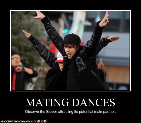 MATING DANCES