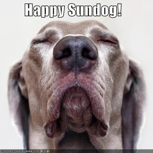 Happy Sundog!