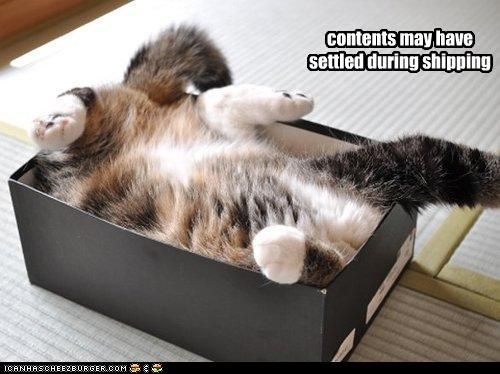 contents may have settled during shipping