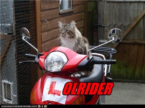 Lolrider