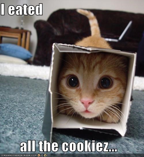 I eated  all the cookiez...