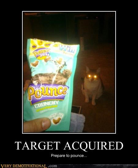 TARGET ACQUIRED