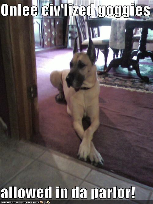 Onlee civ'lized goggies  allowed in da parlor!